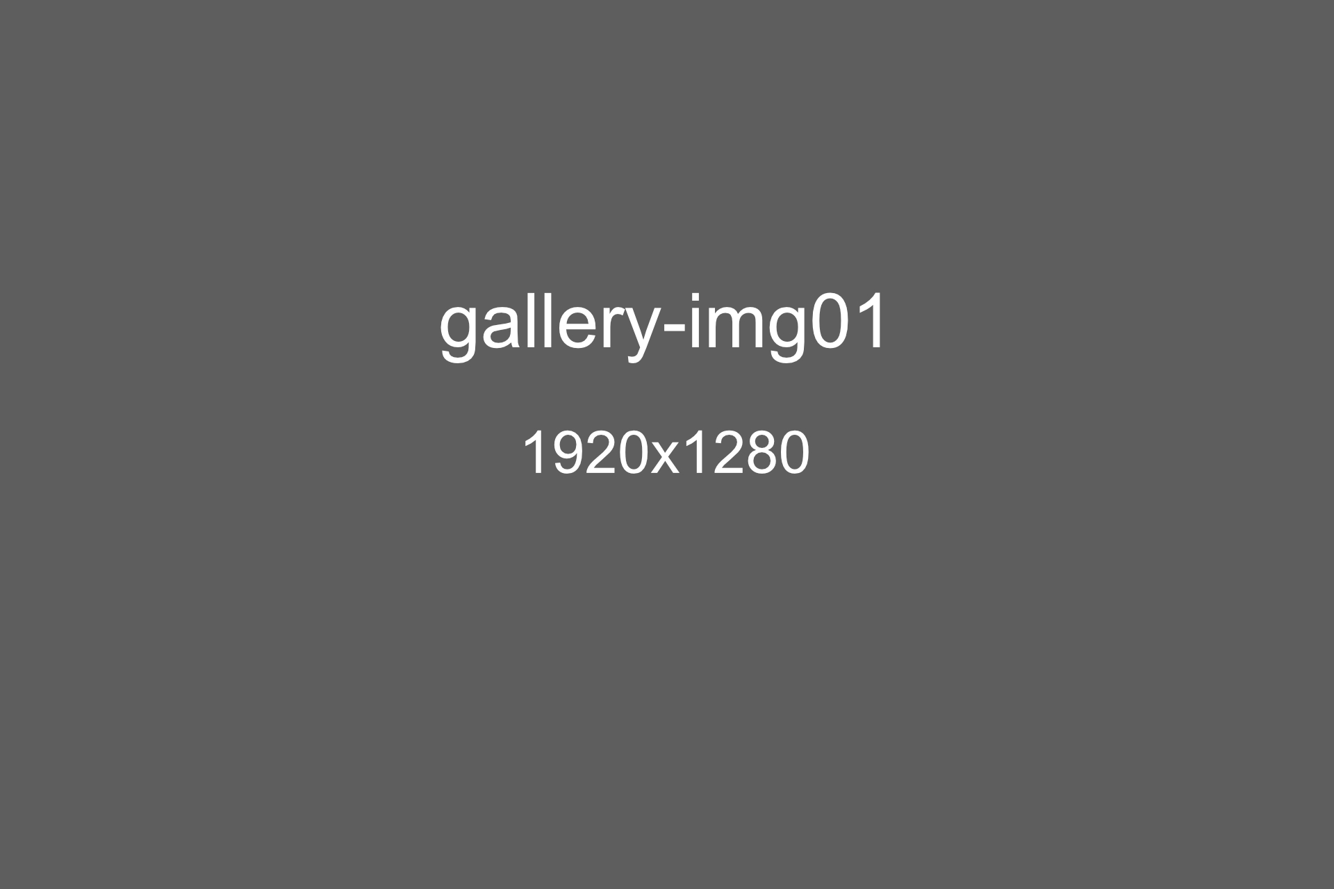 gallery-img01