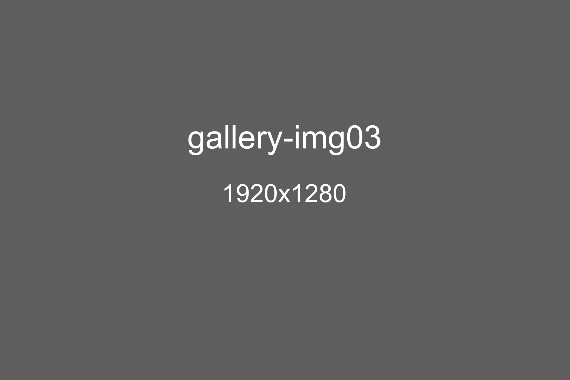 gallery-img03