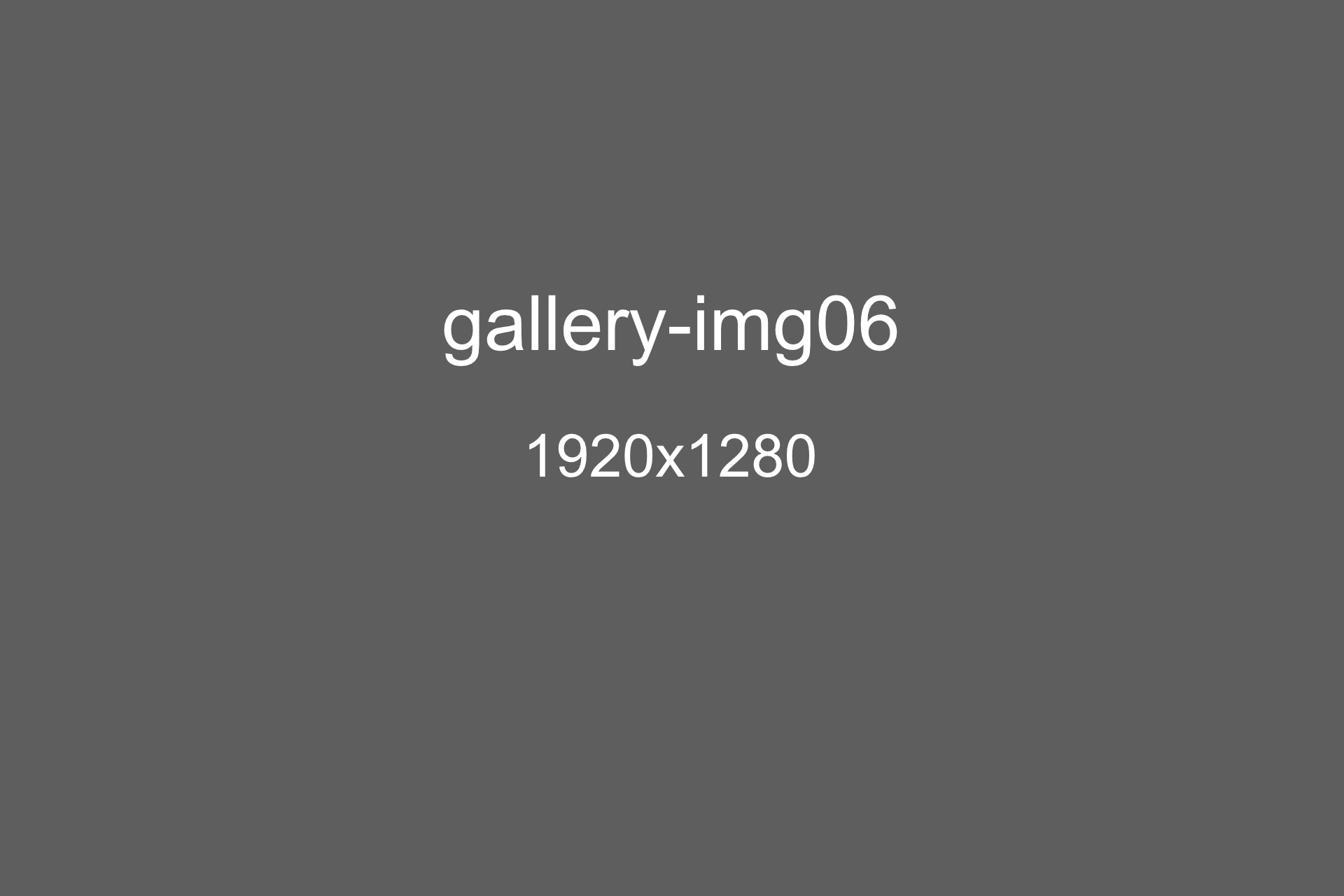 gallery-img06