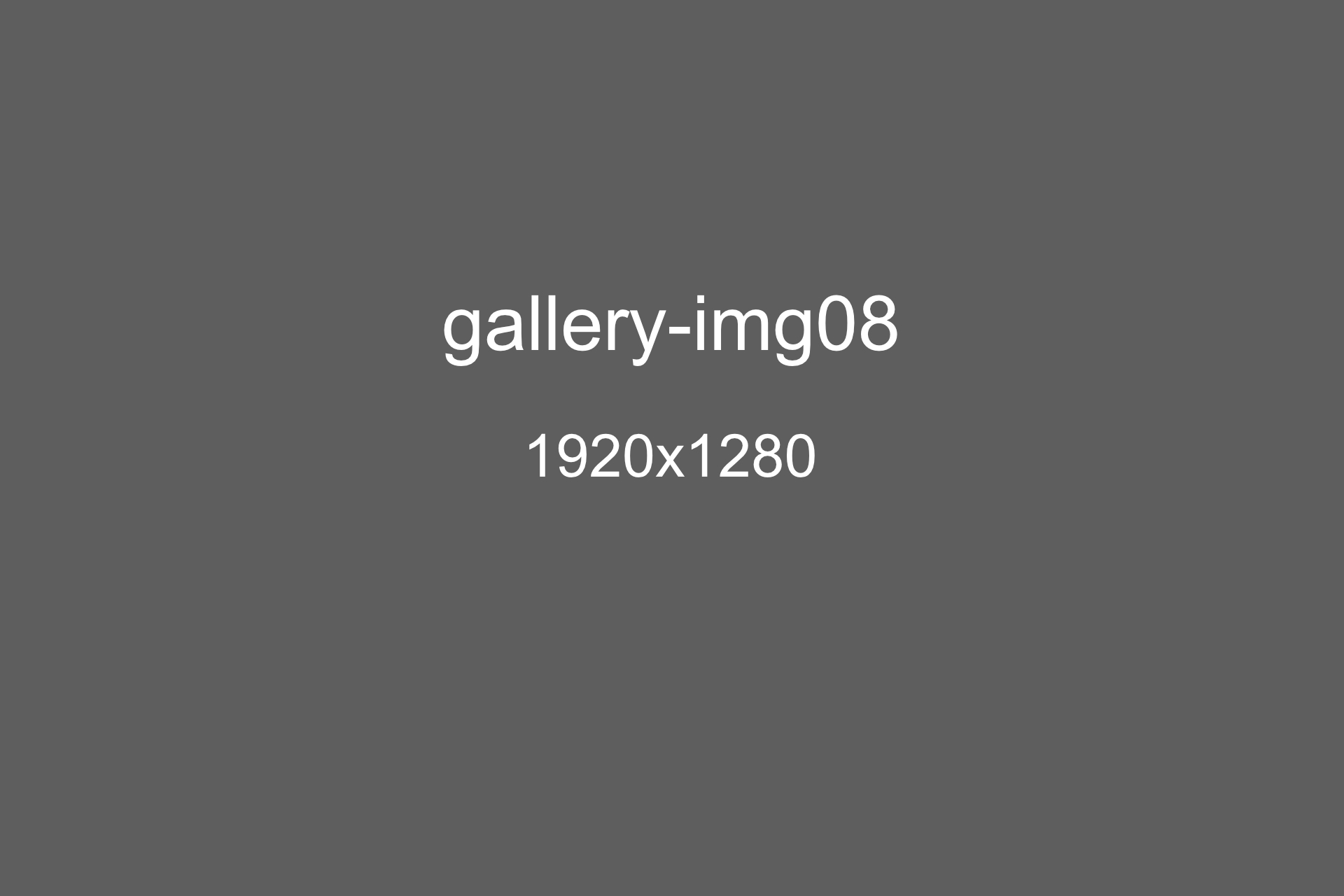 gallery-img08