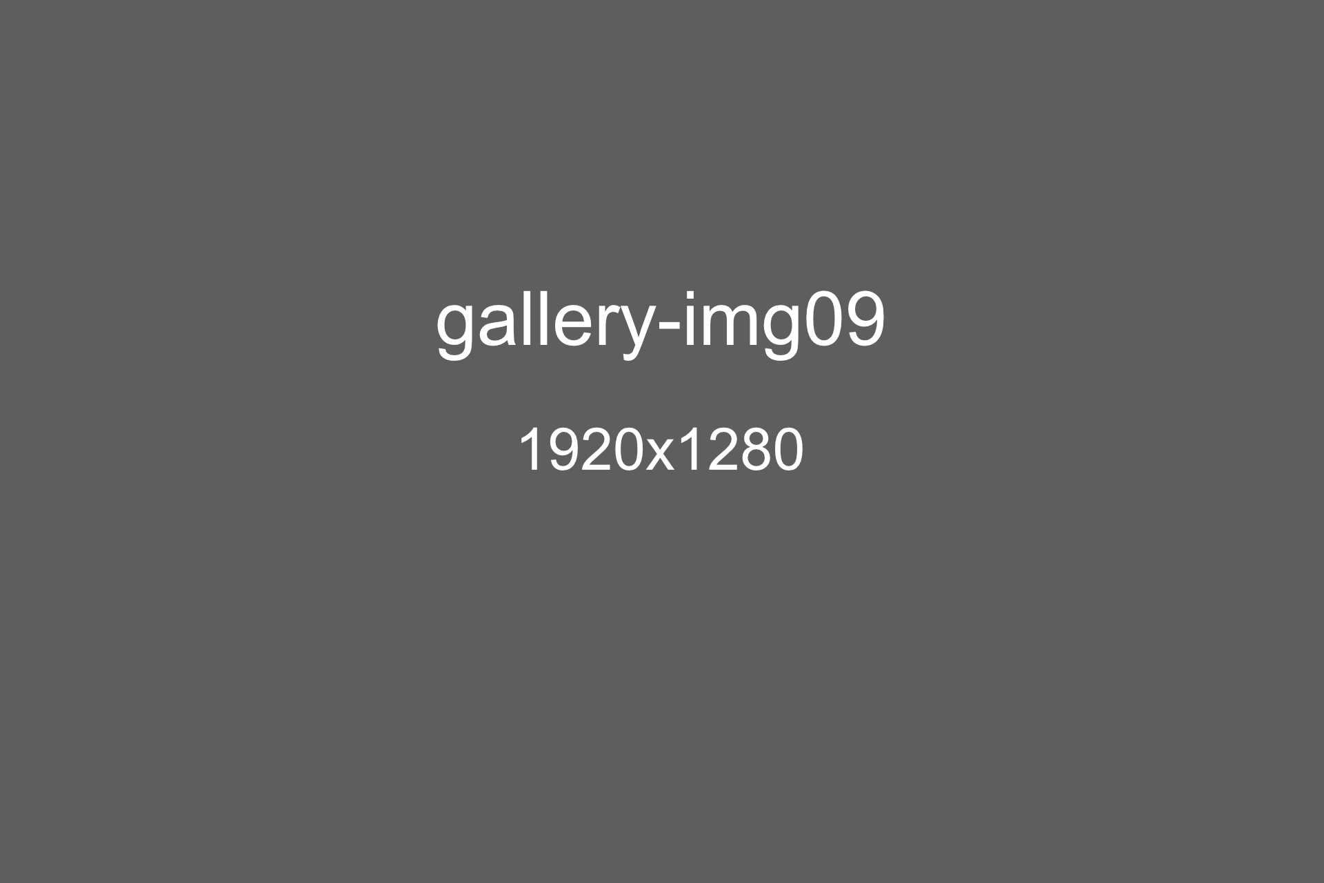 gallery-img09